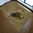 Tappeto Passatoia Salotto Cucina Bagno Lavabile Pesci Rettile Coccodrillo - PESC0005