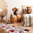 Tappeto Passatoia Salotto Cucina Bagno Lavabile Antiscivolo Cuori Legno Bianco Rosso - CUORI LEGNO