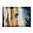 Tappeto Passatoia Salotto Camera Lavabile Antiscivolo Cavallo Selvaggio Moderno Beige Blu - WILD